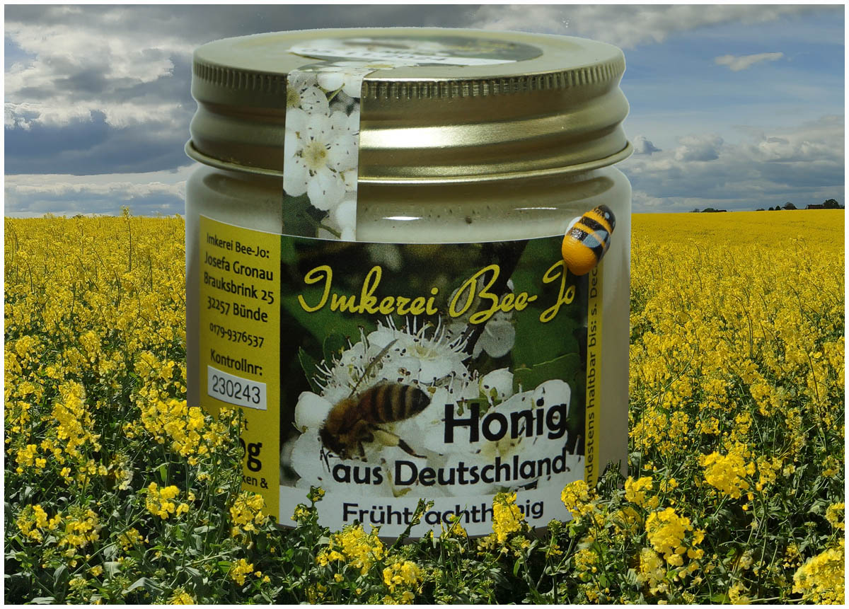 Frühtrachthonig Ernte 2025